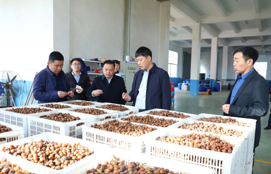 建寧最新新聞，城市溫馨日常與友情力量的展現