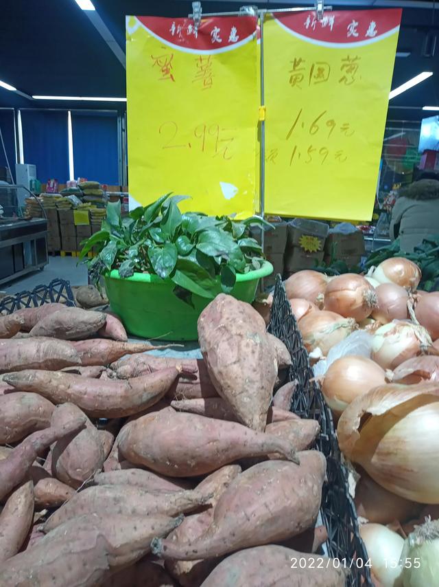 最新地瓜價(jià)格解析，查詢(xún)指南與任務(wù)攻略