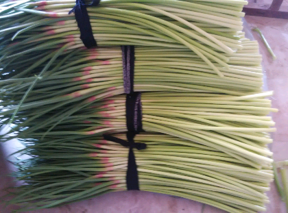 開(kāi)封蒜薹最新價(jià)格揭秘??