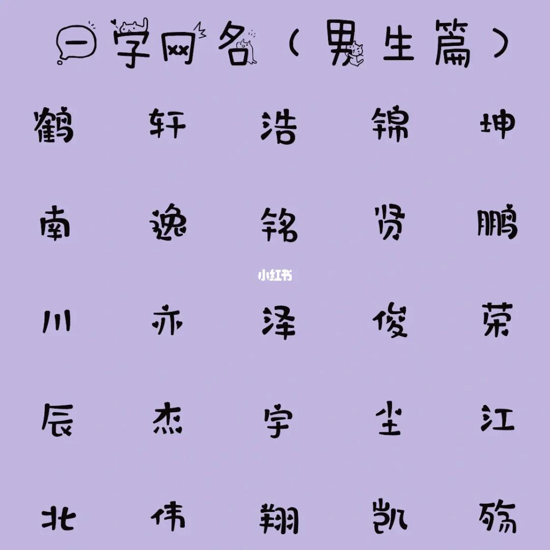 最新男生網(wǎng)名，時(shí)代潮流與虛擬身份的完美融合塑造