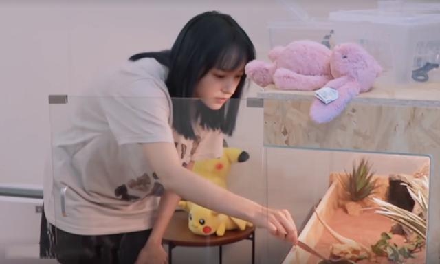 程瀟最新綜藝節目，心動(dòng)瞬間，不容錯過(guò)！?