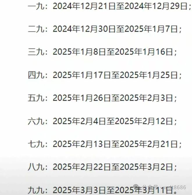 最新久久網(wǎng)2025，友情小船與溫馨日常的交織