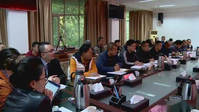 德昌最新新聞，擁抱自然，心靈寧靜之旅啟程