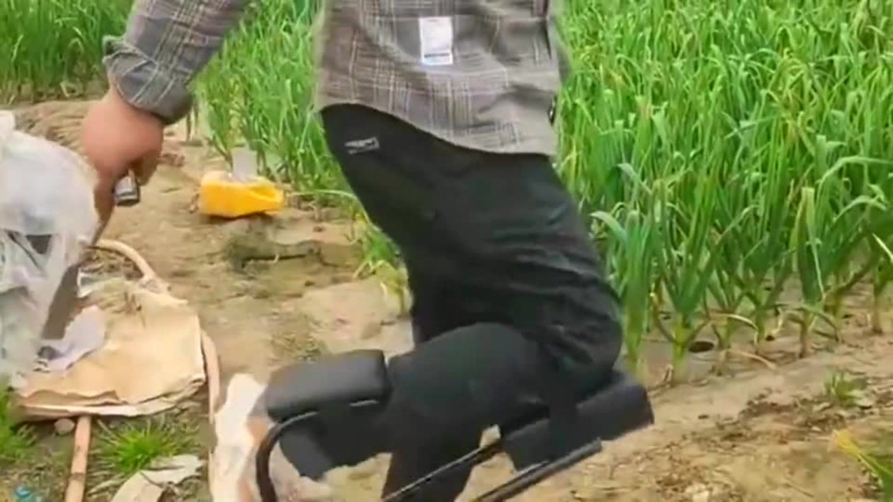 最新挖蒜工具，心靈與自然的完美交融