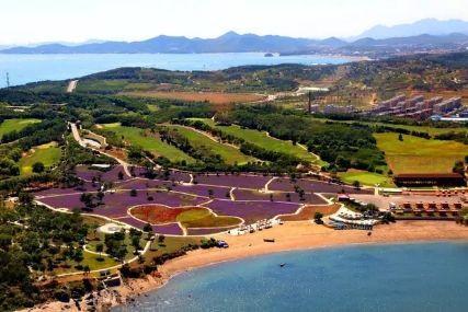 心悅海島探險攻略，最新任務(wù)指南與探險體驗