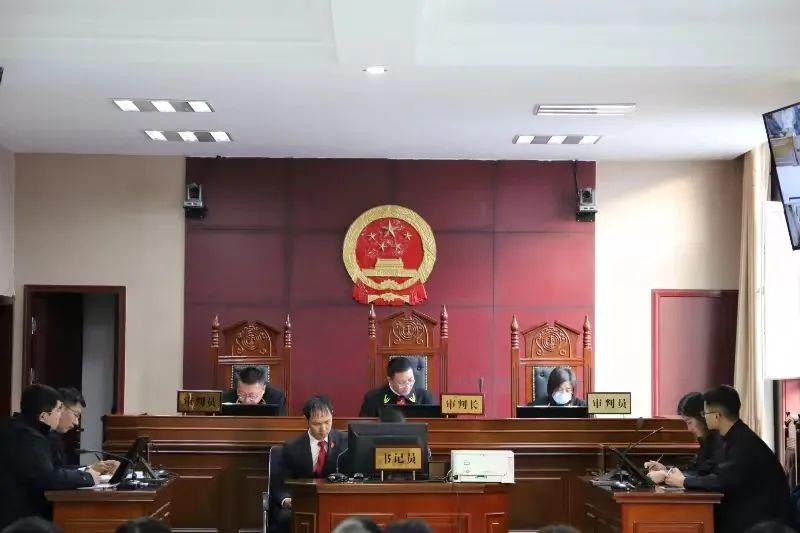 偏關(guān)最新案件深度解析，揭示真相，關(guān)注社會(huì )公正與公平