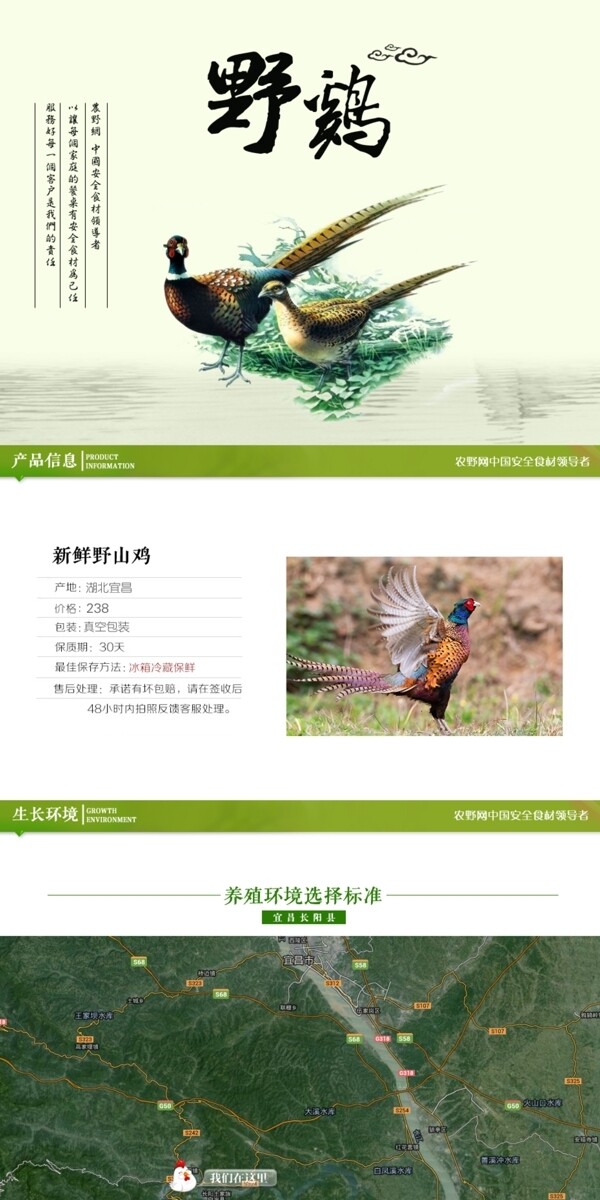 深度剖析，最新山雞的背景、事件與地位概述