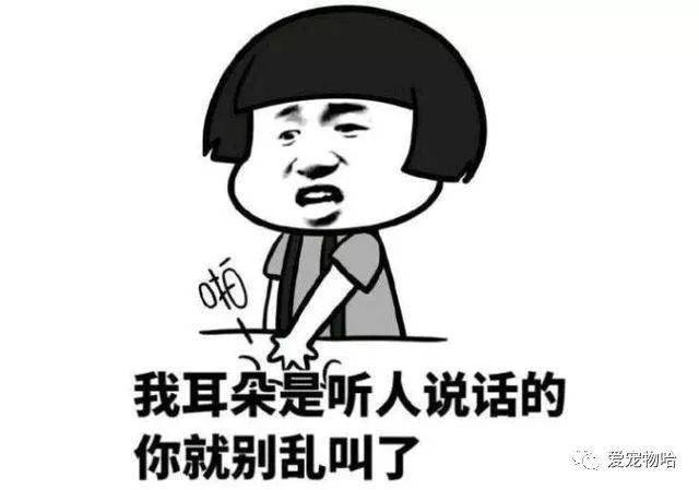 最新枕邊笑話(huà)，科技小寶貝，生活添樂(lè )趣