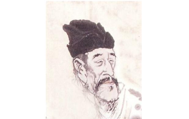 最新孤雁圖片，展現自然之美與深意的瞬間