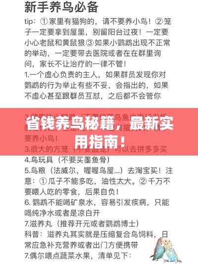 最新養鳥(niǎo)法規解析，觀(guān)點(diǎn)闡述與深度探討