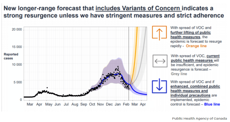 約克最新疫情動(dòng)態(tài)，學(xué)習變化中的自信與成就力量