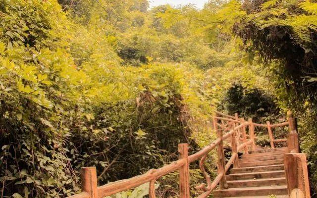 小99最新，科技、生活與娛樂(lè )的交融之地