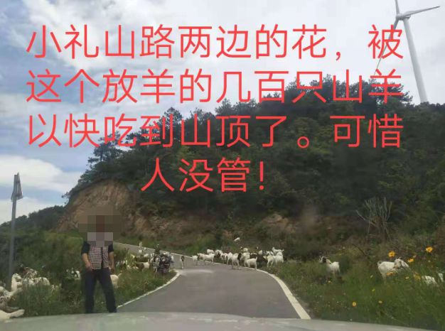 大悟最新路，探索未知，自信成就夢(mèng)想之旅的啟程