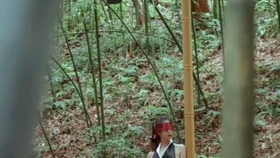 原野小年最新風(fēng)情，小巷深處的獨特魅力