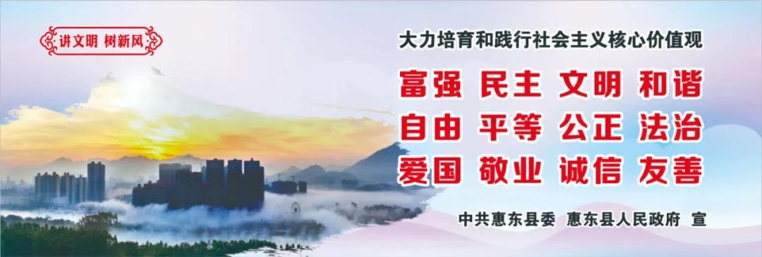 惠州肺炎最新動(dòng)態(tài)，小巷深處的獨特小店背后的故事