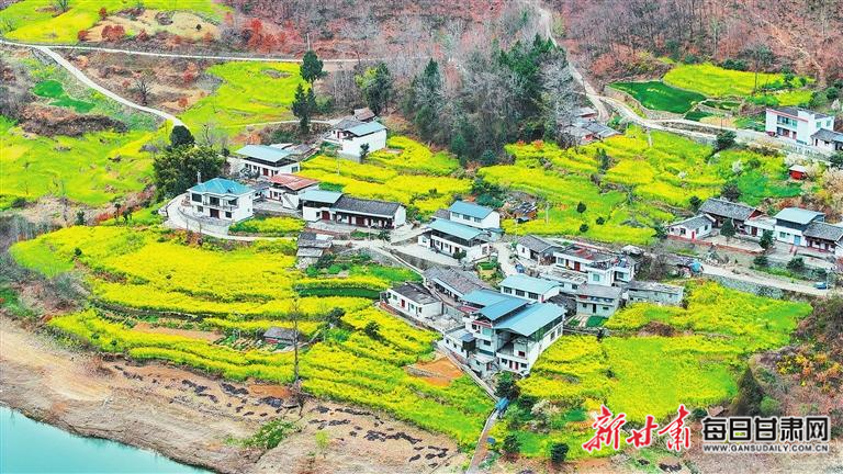 揭秘文縣，歷史背景、重大事件與時(shí)代地位全景展示