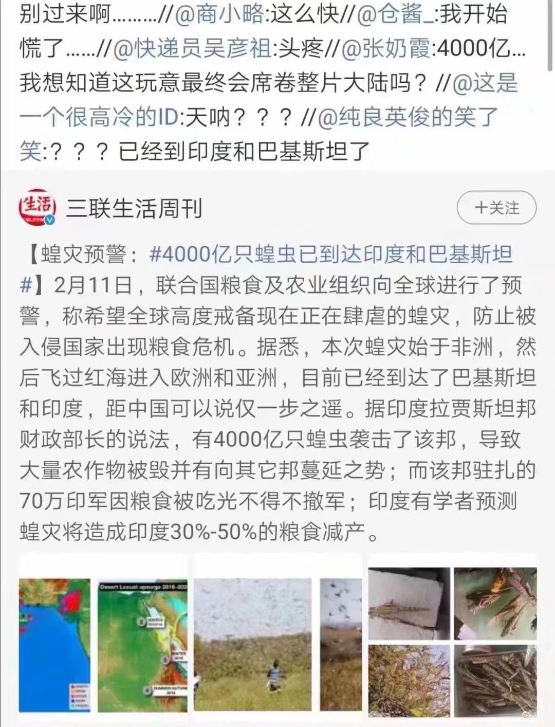 蝗蟲(chóng)最新動(dòng)態(tài)，防治與監測的全面指南