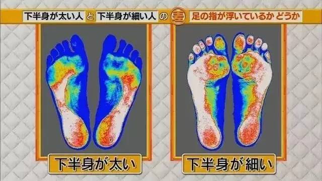 最新地趾論述，探索、爭議與觀(guān)點(diǎn)綜述