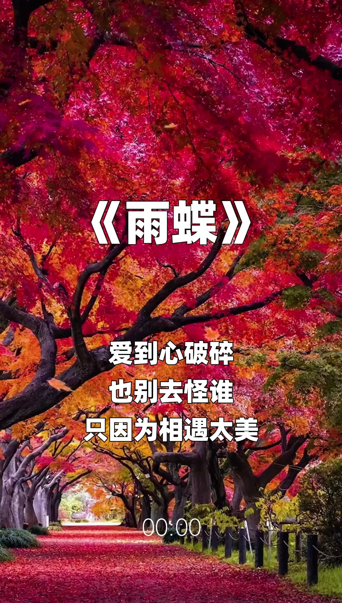 雨蝶最新步驟指南，如何完成任務(wù)或學(xué)習技能？