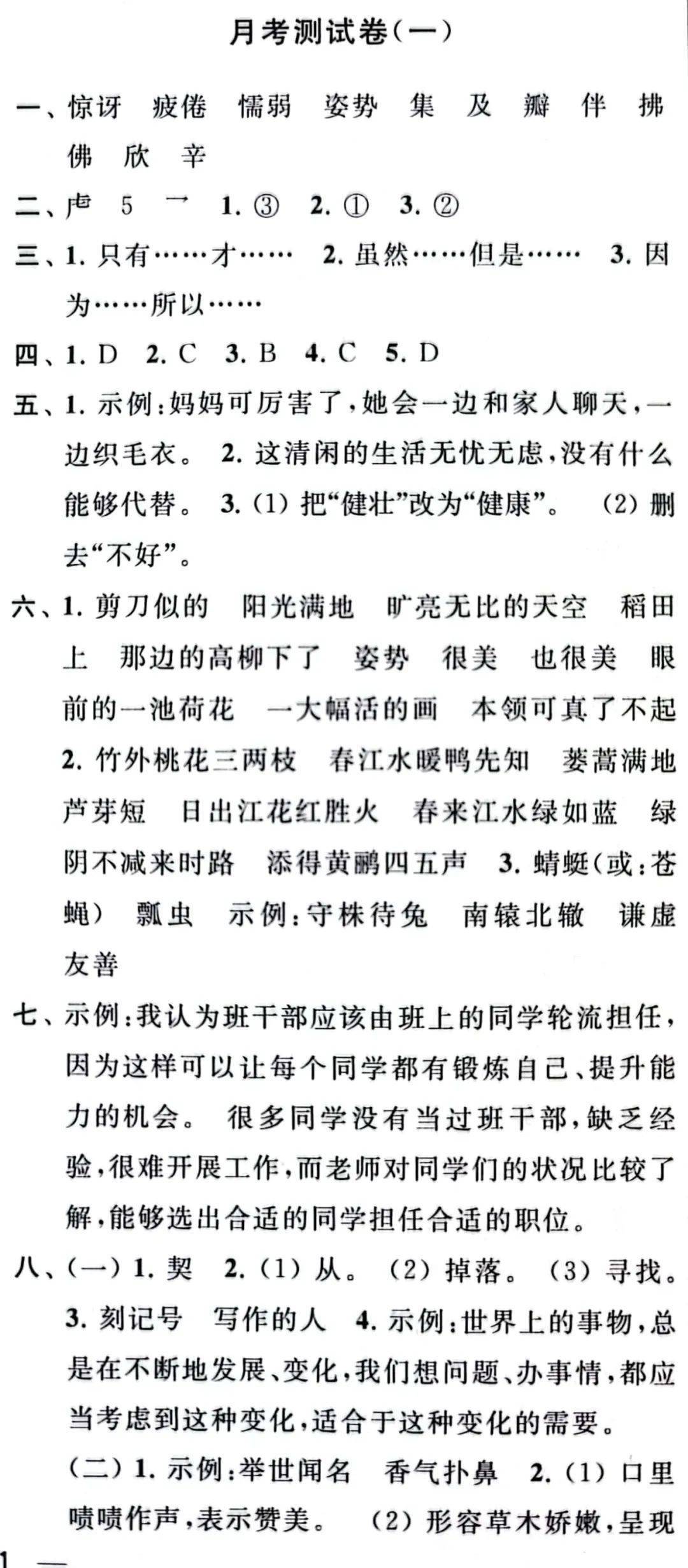 最新月考與大自然療愈之旅，尋找內心平靜的奇妙探險
