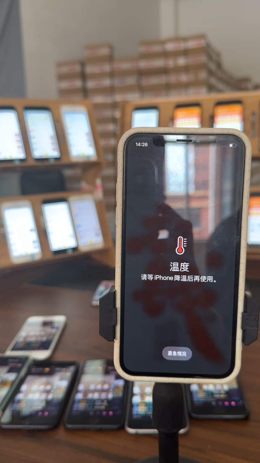 蘋(píng)果最新直播，科技與文化的完美融合盛宴