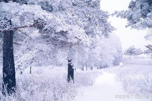 冬日暖陽(yáng)下的溫馨日常，最新冬美文精選