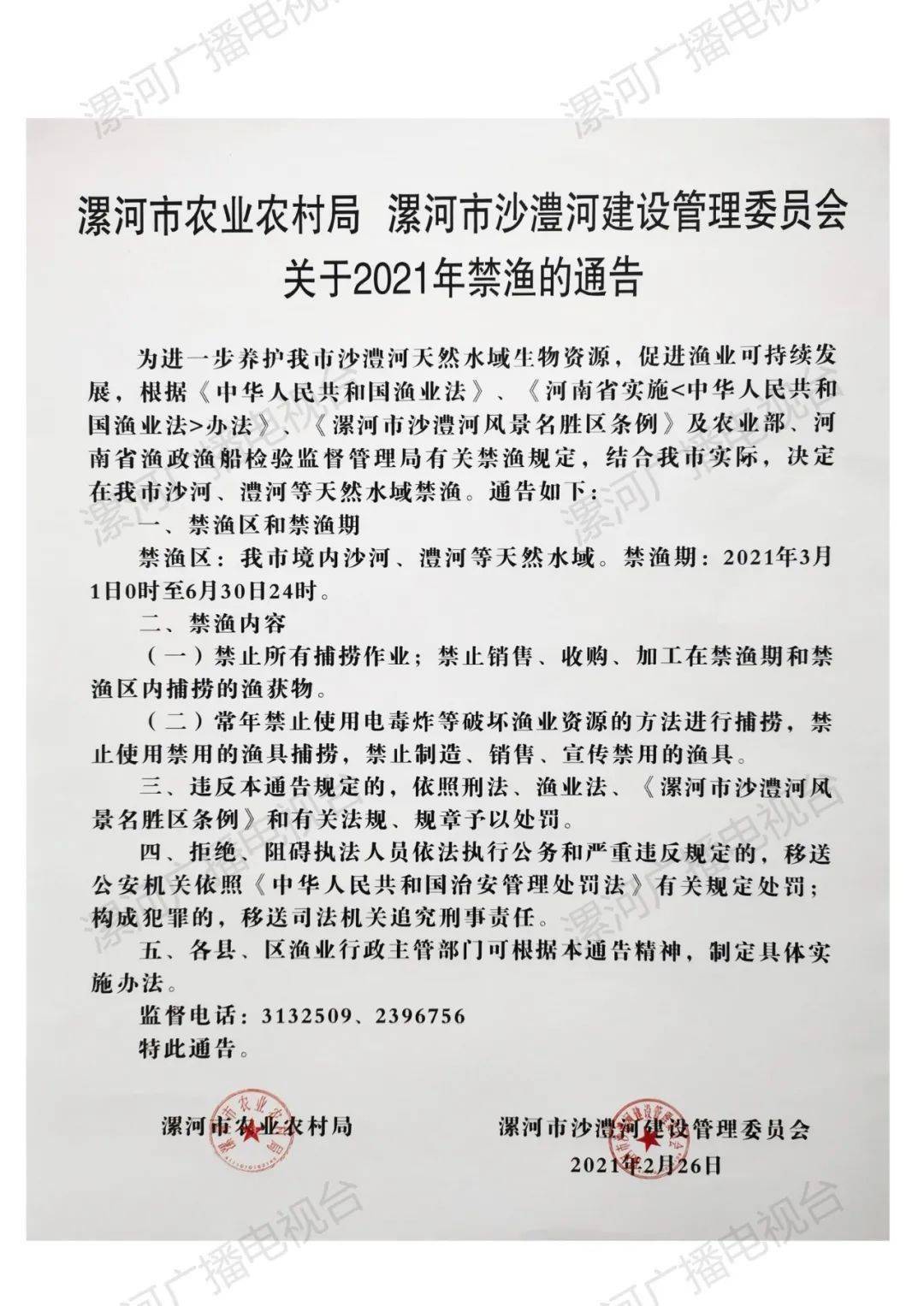 漯河最新通告，探索自然美景，尋覓內心寧靜與平和之旅