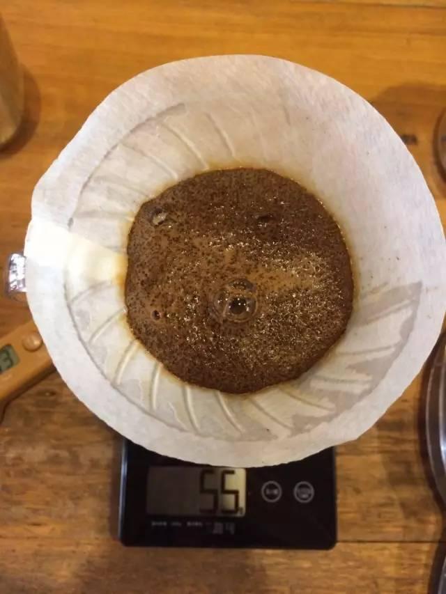 最新萃取法詳解，步驟指南與操作技巧
