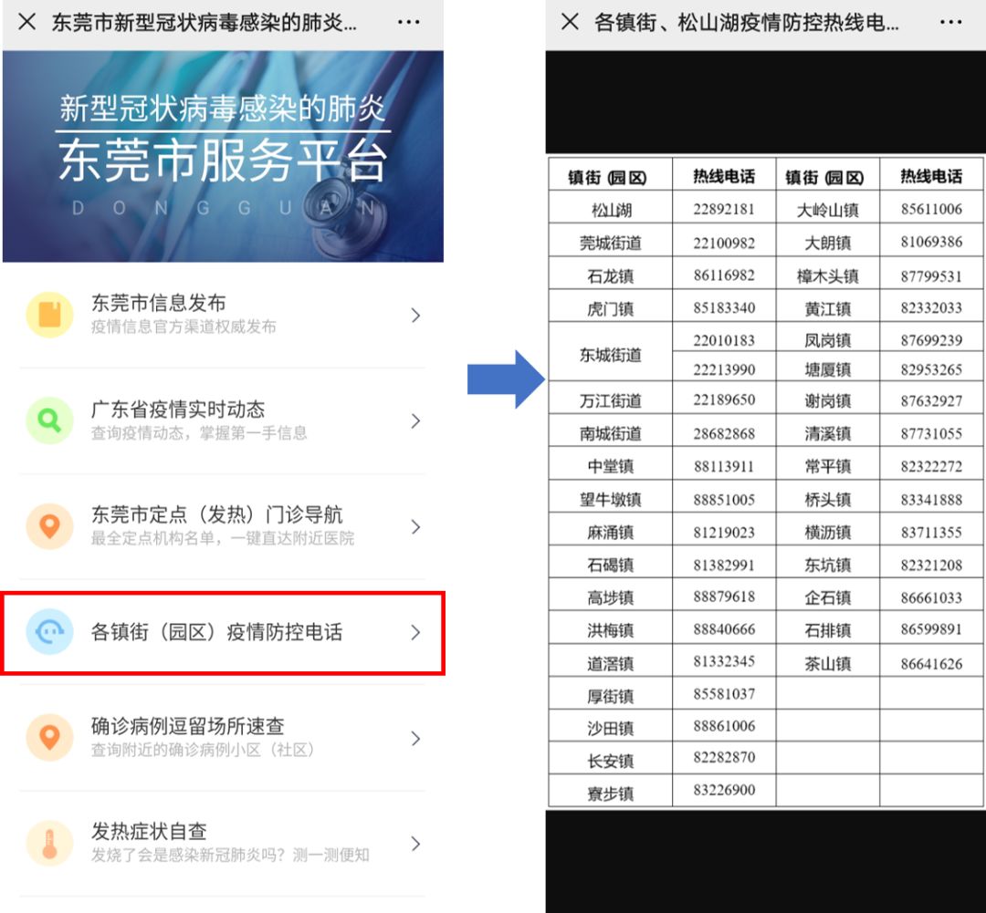 東莞最新疫情狀況，逆風(fēng)翱翔，用知識守護夢(mèng)想健康