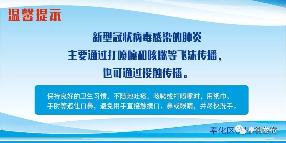 余姚最新確診背后的自然探索之旅，重拾心靈寧靜與平和