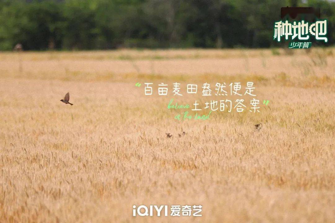 種地吧最新語(yǔ)錄，探索未來(lái)農業(yè)的高科技魅力