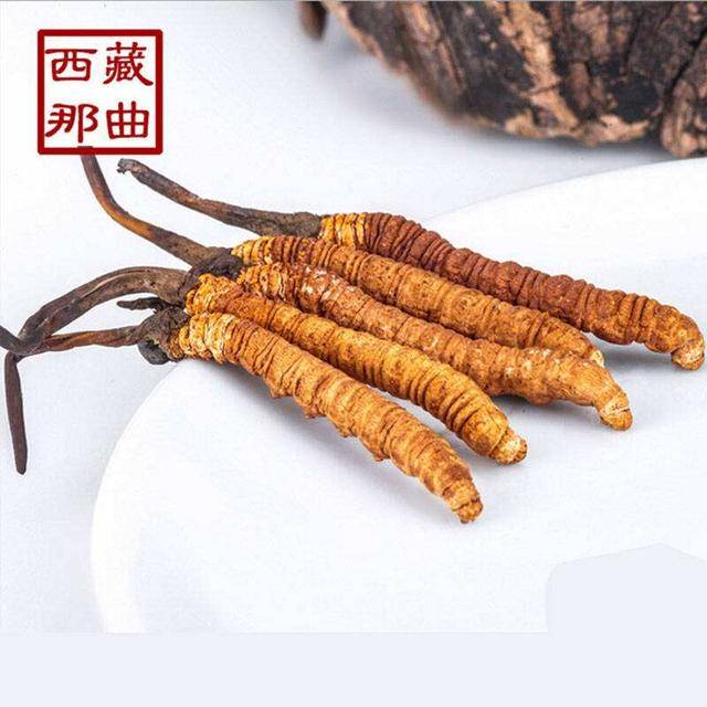 揭秘2025年蟲(chóng)草最新價(jià)格，探尋小巷中的秘密行情！