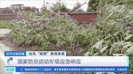 超強臺風(fēng)鸚鵡來(lái)襲，最新路徑動(dòng)態(tài)全解析???