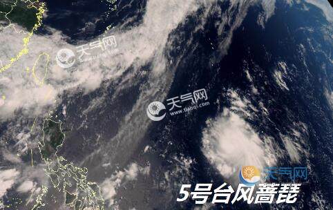 最新實(shí)時(shí)臺風(fēng)風(fēng)力查詢(xún)指南，風(fēng)力信息及查詢(xún)步驟全解析
