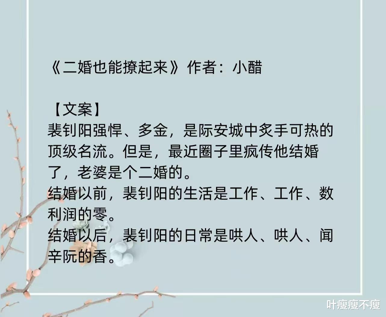 最新二婚小說(shuō)，小巷深處的浪漫故事