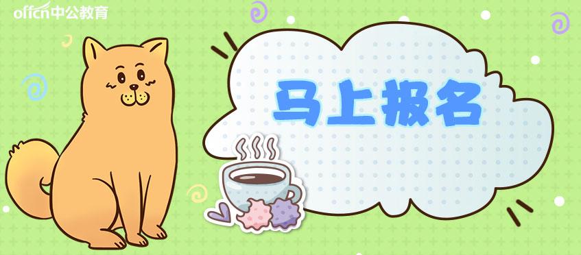 通安最新招聘，啟程探索自然美景，尋找內心的寧靜之旅